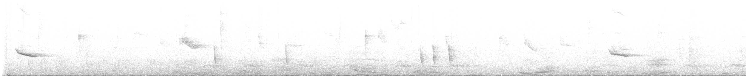 Дрізд-короткодзьоб плямистоволий - ML494129801