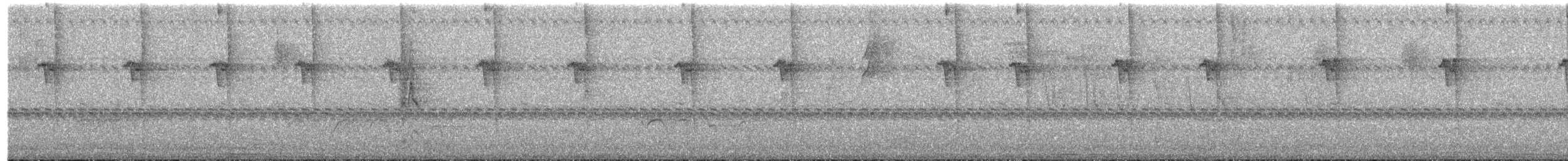 Солнечный колибри-отшельник - ML494129911