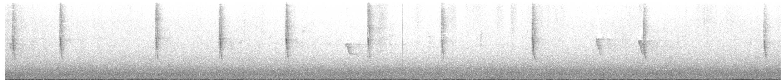 Chestnut-sided Warbler - ML494137581