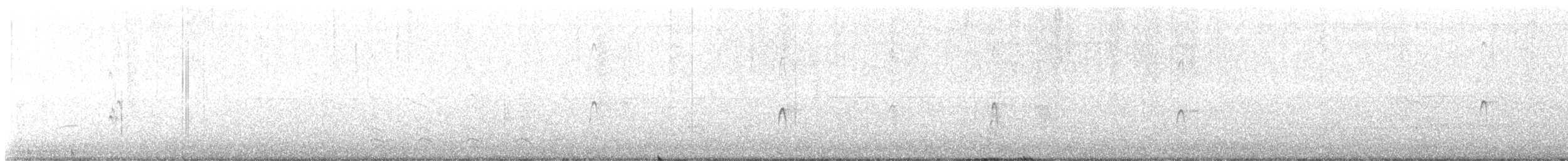 Long-billed Dowitcher - ML494231611