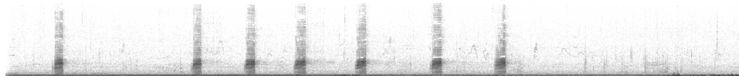 Stockente - ML494241241
