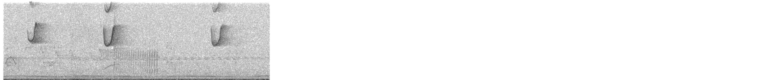 Солнечный колибри-отшельник - ML494325521