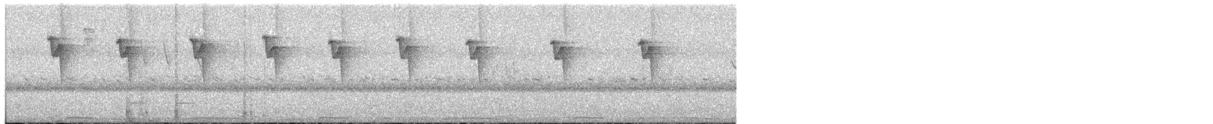 Солнечный колибри-отшельник - ML494326501