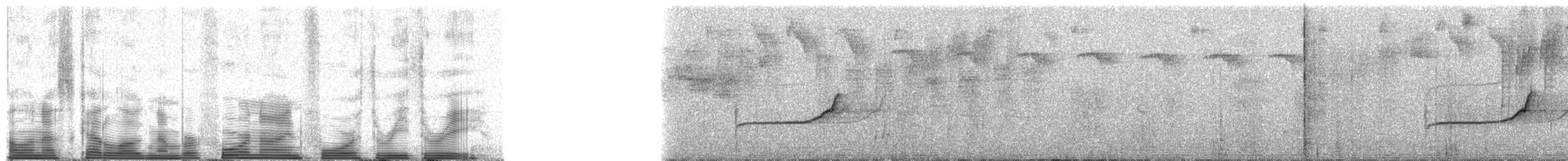 løvtyrannulett (flavidifrons) - ML49433