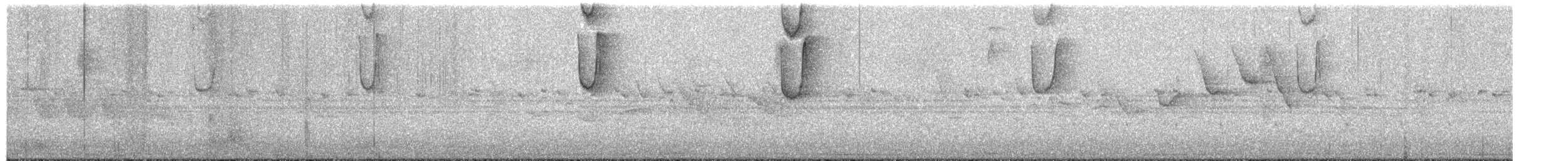 Солнечный колибри-отшельник - ML494352001