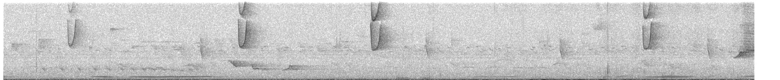 Солнечный колибри-отшельник - ML494362271