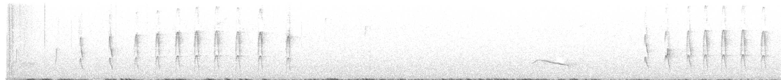 Тиранчик-довгохвіст білогорлий - ML494365431