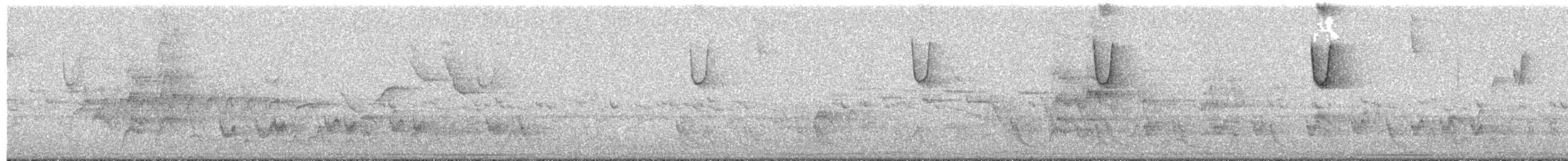 Солнечный колибри-отшельник - ML494365581