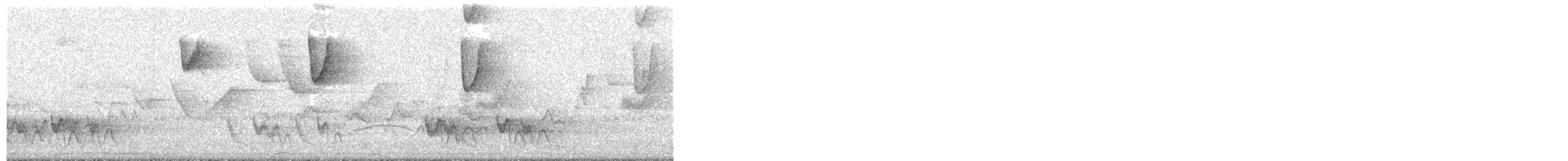 Солнечный колибри-отшельник - ML494366341