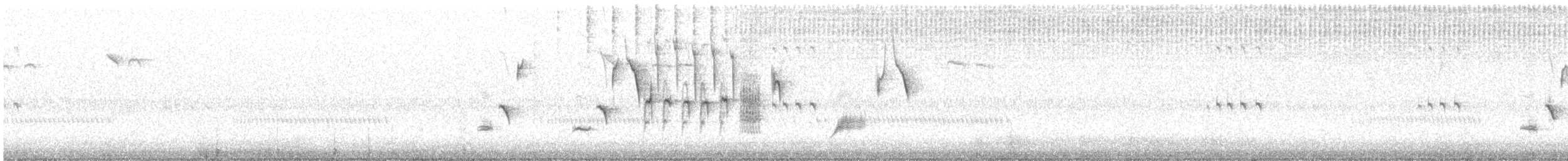 strnadec zpěvný (ssp. melodia/atlantica) - ML494390591