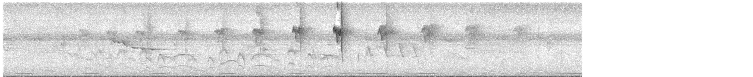 Солнечный колибри-отшельник - ML494392691