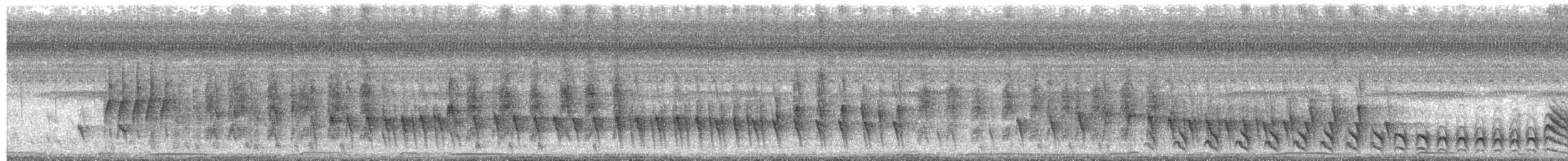 Wing-banded Hornero - ML494433701