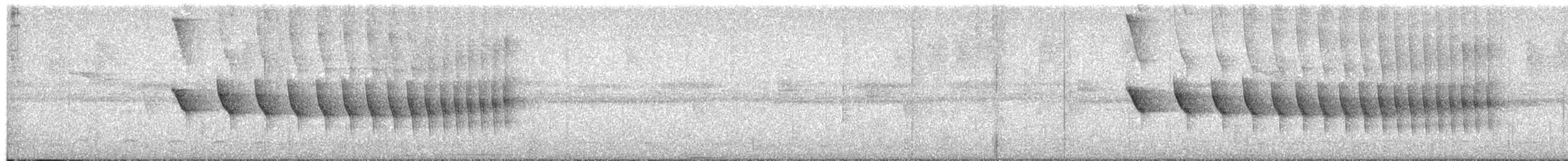 Koyu Kuyruklu Karıncakuşu - ML494438071