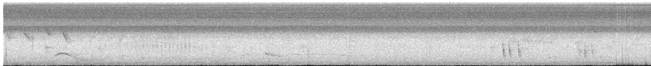 Large Elaenia - ML494446461