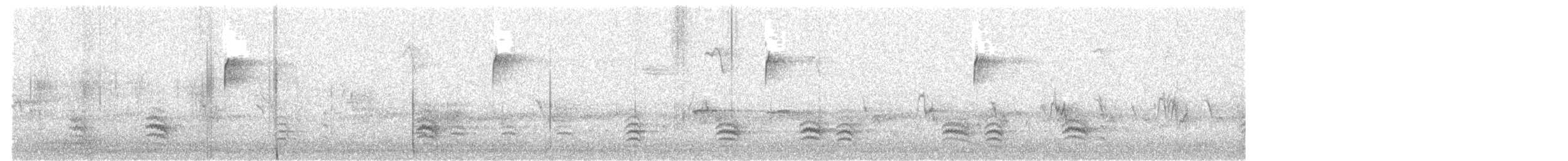 Sittelle à poitrine blanche - ML49452921