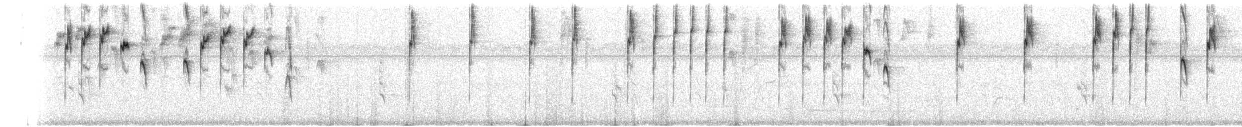 Tangara Velia (cyanomelas) - ML494536741