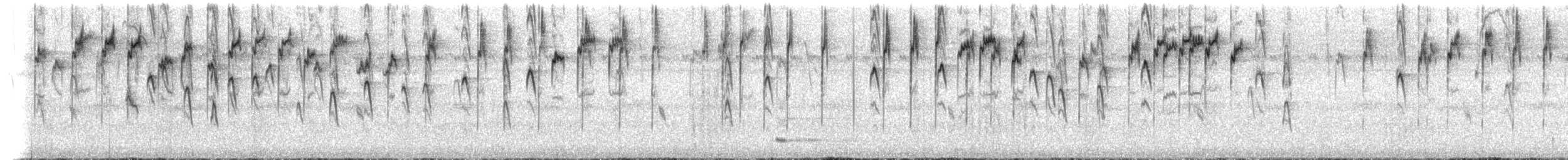 ムラサキフウキンチョウ（cyanomelas） - ML494553031