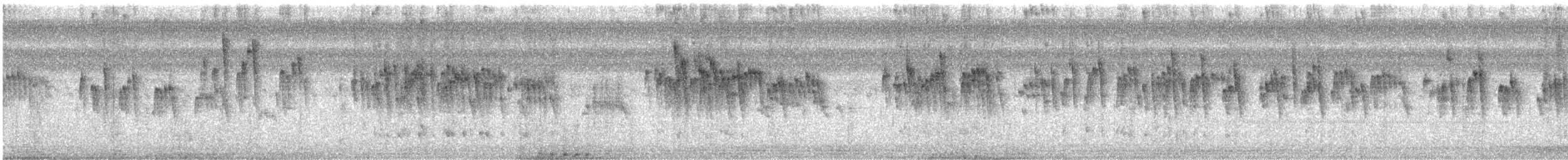 Graubauchsegler (gaumeri) - ML494556441