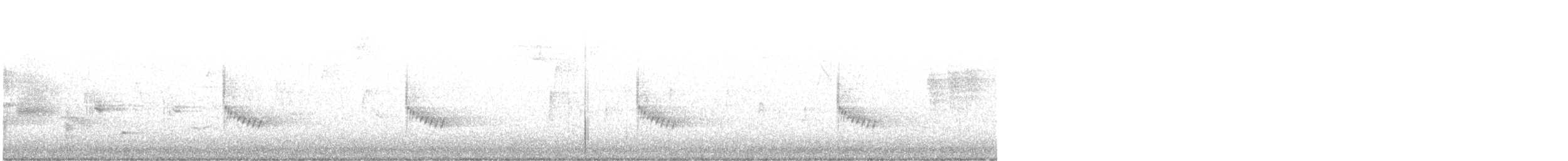 Каролинский крапивник - ML494556851