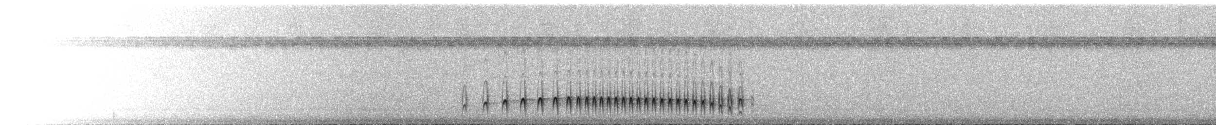 Bahia Antwren - ML494572311