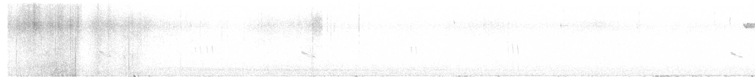 Plectrophane lapon - ML494589101