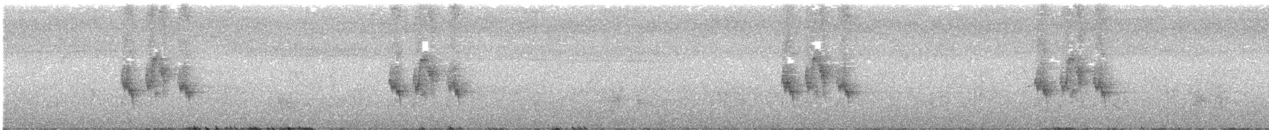 Черный бюль-бюль (nigerrimus) - ML494653191