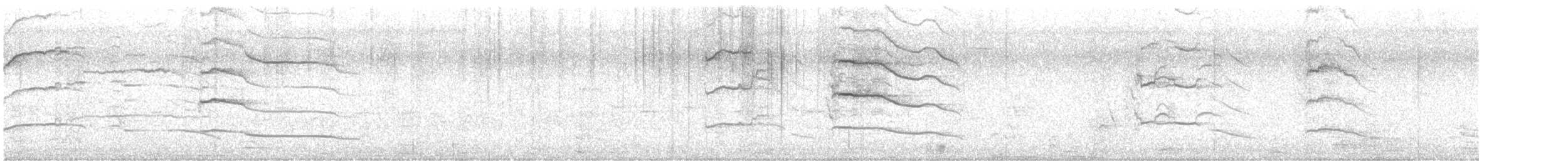 Papuateichhuhn - ML494656031