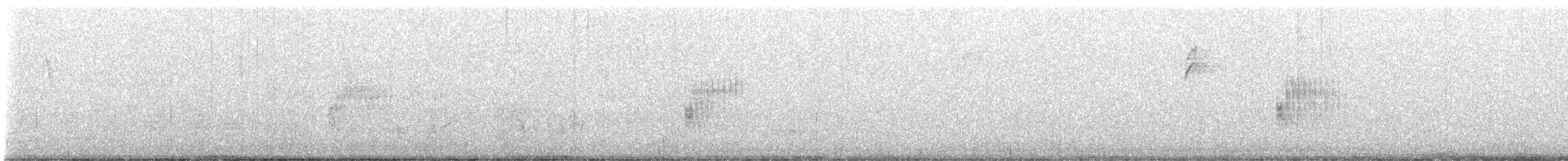 Тауї плямистий - ML494681221
