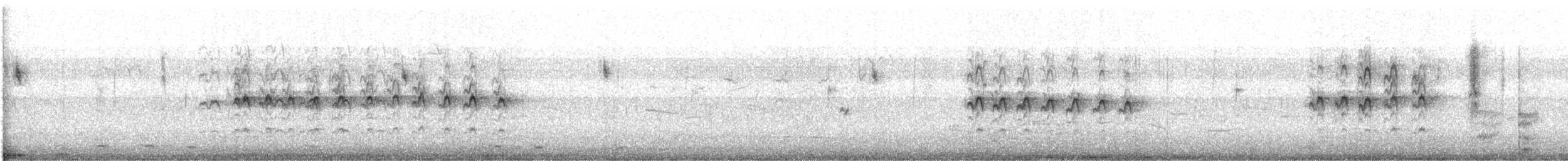 American Kestrel (Northern) - ML494722011