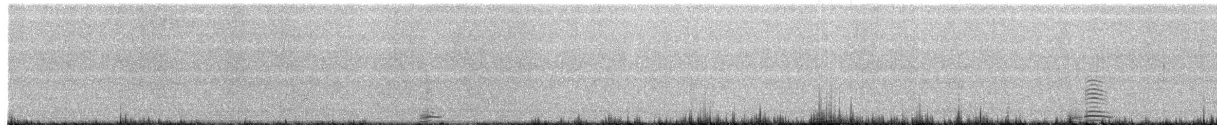 Cygne trompette - ML494744711