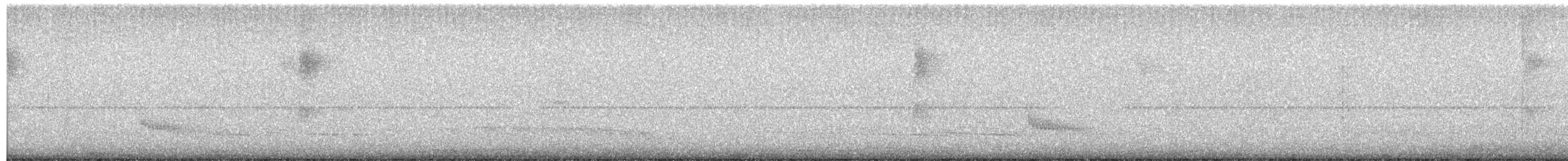 Кущівник плямистий - ML494748591