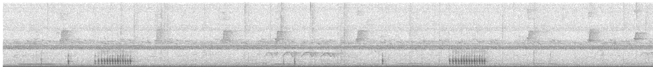 White-spotted Woodpecker - ML494756711