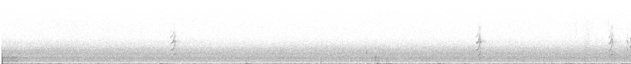 Трясохвіст бурочеревий - ML494757961