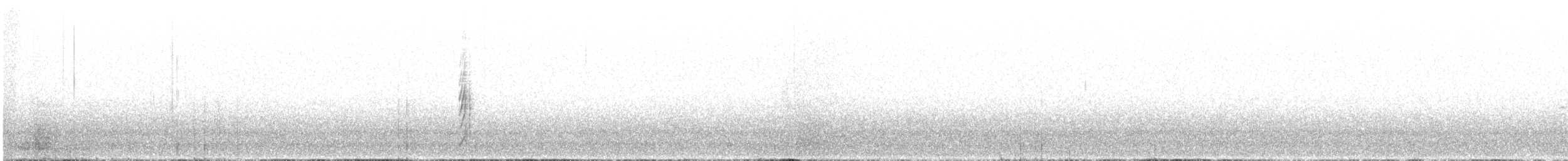 Белобровая трясохвостка - ML494757971