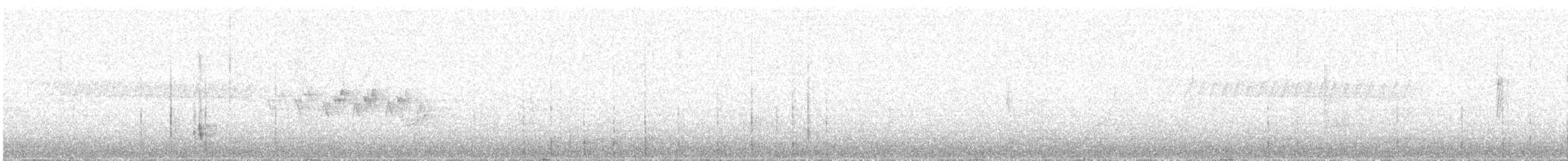 Черноспинный трёхпалый дятел - ML494793741