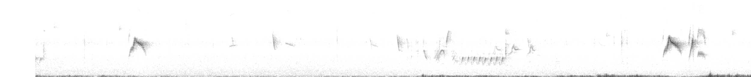Тиранчик-короткодзьоб південний - ML494813161