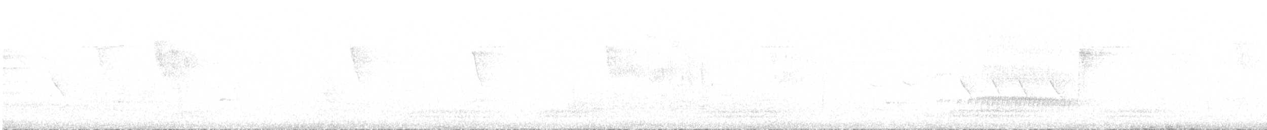 Snethlage Todi Tiranı - ML494902161