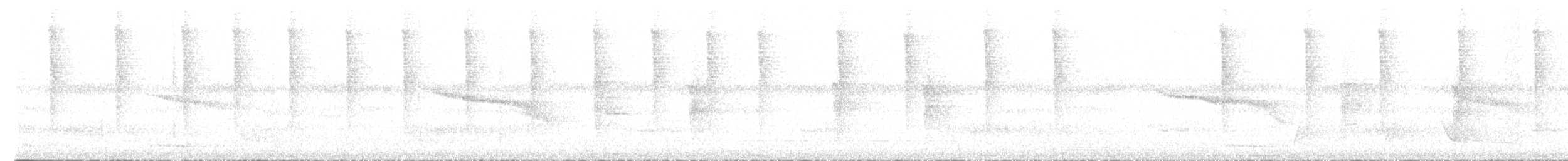 Колібрі-шаблекрил сірогрудий (підвид obscurus) - ML494905211