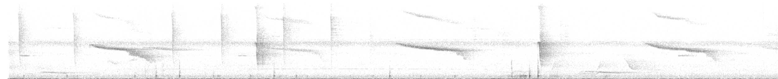Серогрудый саблекрыл (obscurus) - ML494905341