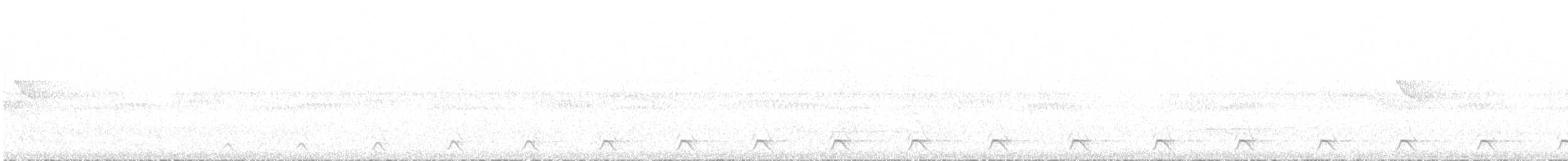 Амазонский трогон - ML494906071