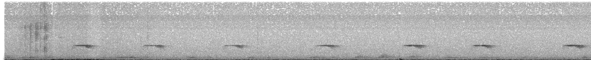 Schmalspiegel-Nachtschwalbe - ML494906511