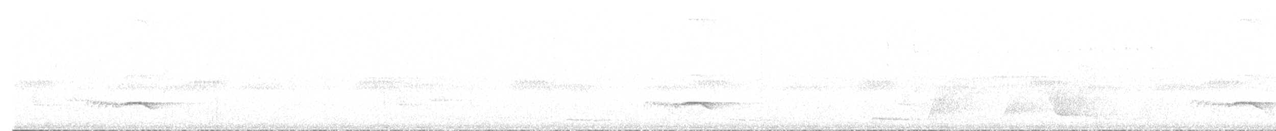 Fleckenflügel-Ameisenwürger - ML494906691