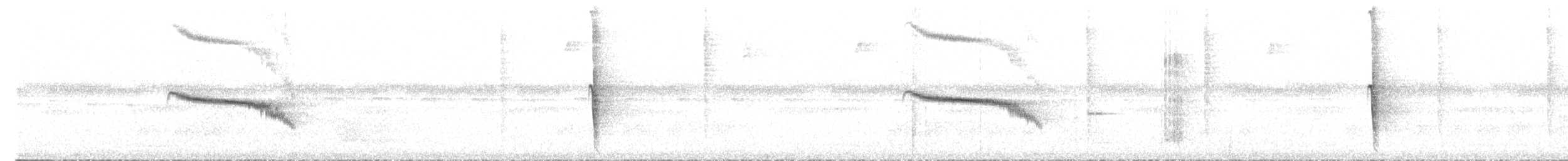 Fleckenflügel-Ameisenwürger - ML494906811
