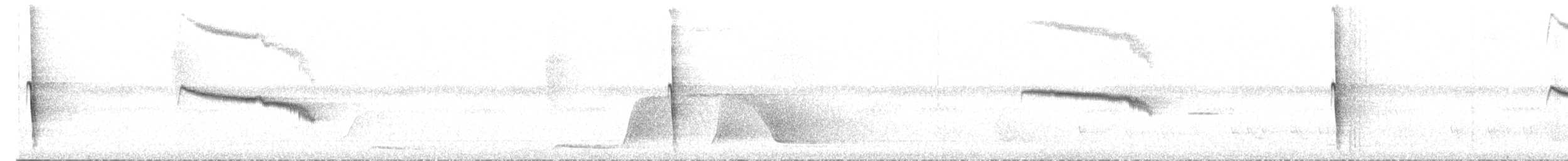 Spot-winged Antshrike - ML494906941