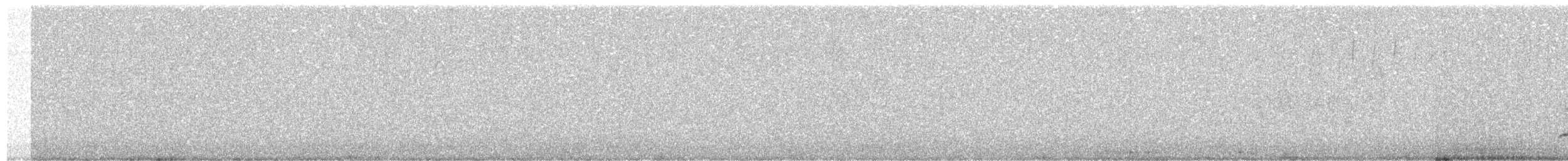 Red-winged Tinamou - ML494923281