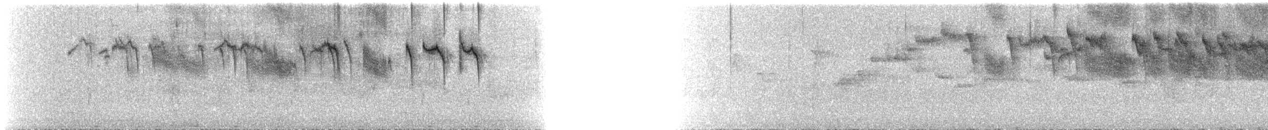 Colibri flammule (torridus) - ML49492431