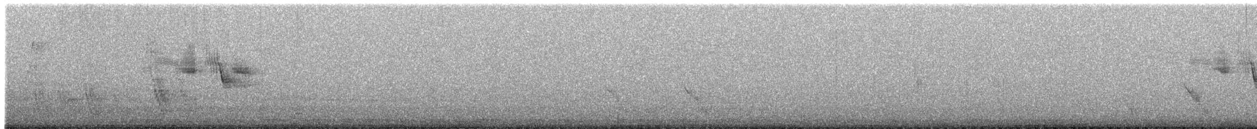 Ak Kaşlı Dokumacı (pectoralis) - ML494956531