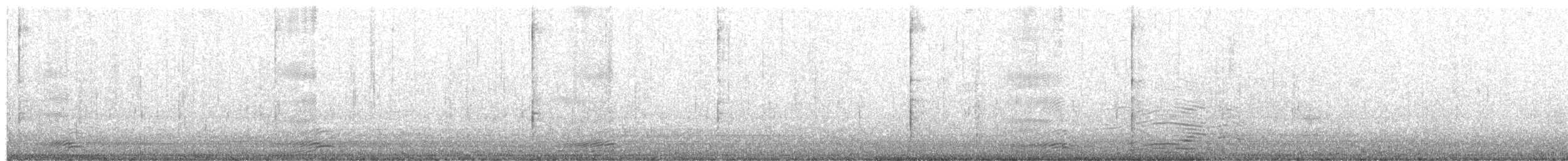 アメリカオオセグロカモメ - ML494961631