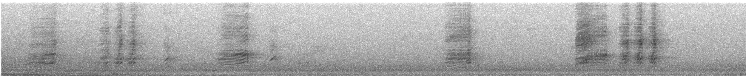 Kara Gagalı Saksağan - ML494987841