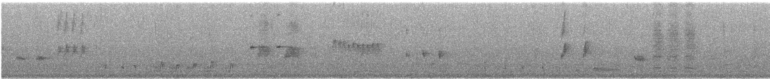 Mirlo Acuático Norteamericano - ML494993901